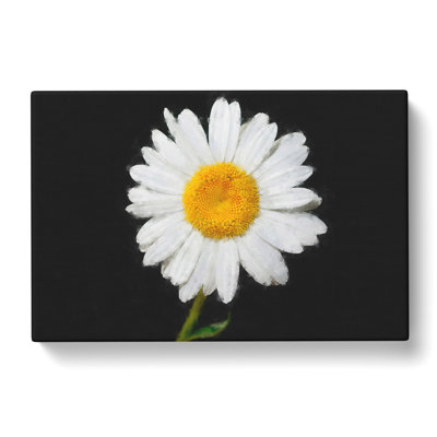 White Daisy Vol.6 - Wrapped Canvas Print