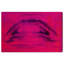 Wynwood Studio-87318510