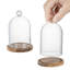 2 Piece Mini Decorative Glass Cloche Set