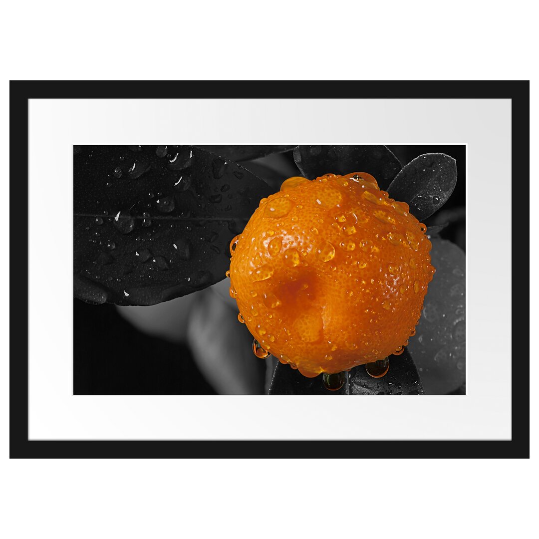 Gerahmtes Poster Orange mit Wassertropfen