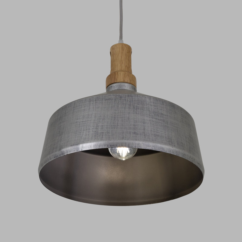 Luminaire suspendu pour dôme simple 1 lumières Tedrow