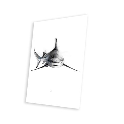 " Shark II " by Alexis Marcou