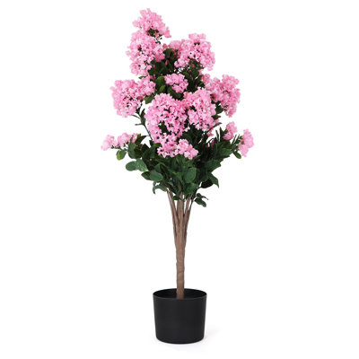 Potted Lilac - Medium