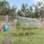 Bascomb 13 Ft W x 4 Ft D Greenhouse