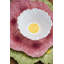 Maria Flor Earthenware Cereal Bowl
