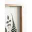 «Natural Charm Pressed Botanticals 1» par Stephanie Klatt, art mural en verre imprimé encadré