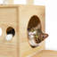Meuble chat moderne de luxe pour chat
