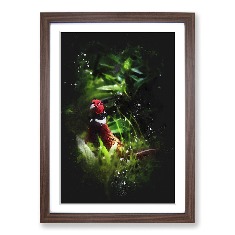 Pheasant Bird Vol.1 - Picture Frame Graphic Art, 36cm H x 27cm W x 2cm D, Walnut Framed