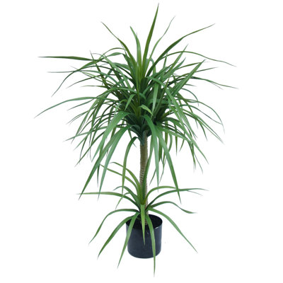 Annistyn Faux Dracaena Tree in Pot