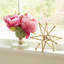 Arrangements floraux de pivoines fraîchement coupées en pot-526875699