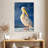 Brampt Shy Pelican-108479424