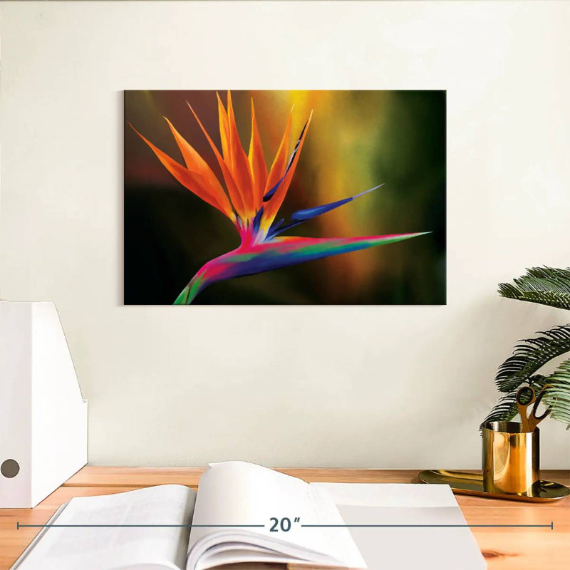 Strelitzia Harnek Delightful, H 8 po x l 12 po