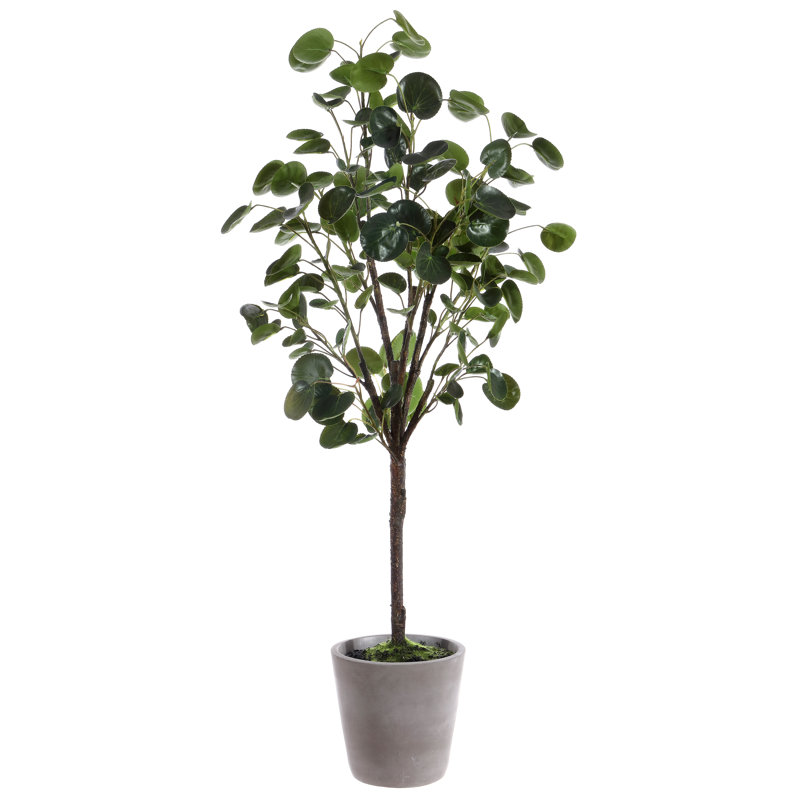 37'' Faux Evergreen Tree in Freestanding