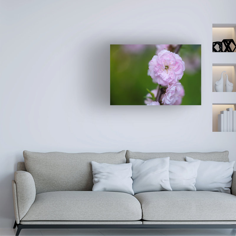 Art sur toile, Suzanne Bonin, 22" H x 32" W