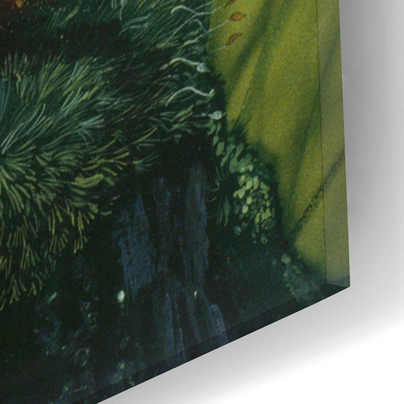 «Red Squel» par Harro Maass, Red Barrel Studio®, art mural en verre acrylique, H 24 po x l 16 po x P 0,2 po