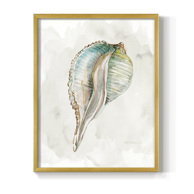 «Pastel Shell I», reproduction encadrée - bois massif, Or, H 10 po x l 8 po