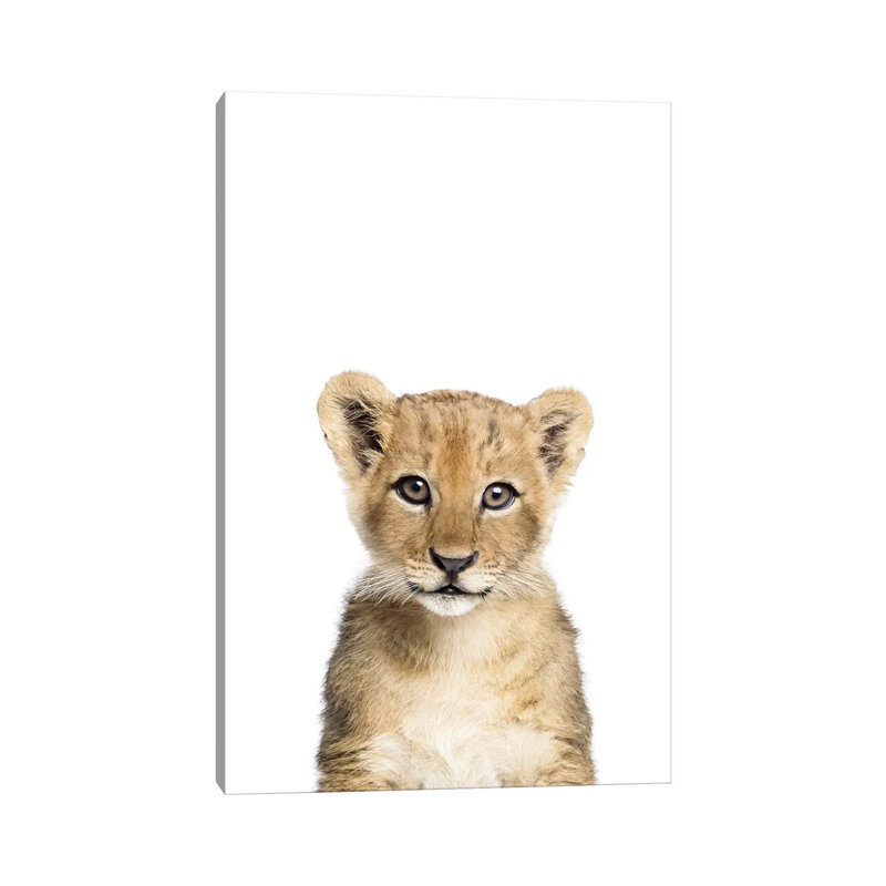 Baby Lion by Sisi & Seb - Wrapped Canvas Print, 101.6 cm H x 66.04 cm W x 3.175 cm D