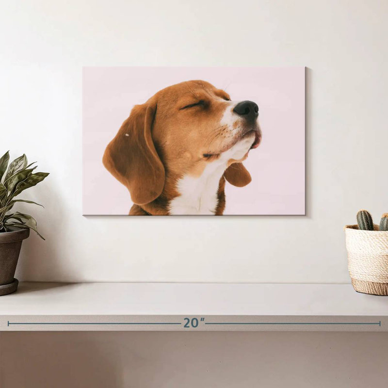 Brampt Beagle, 8" H x 12" W