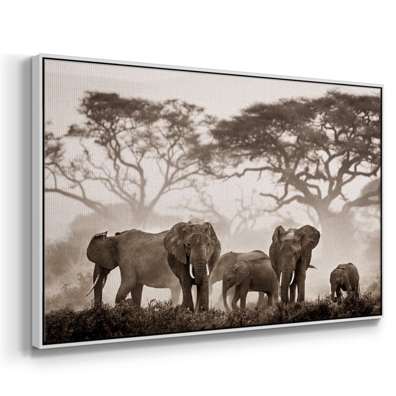Amboseli National Park, reproduction d'art sur toile, H 25 po x l 37 po x P 2 po, Blanc