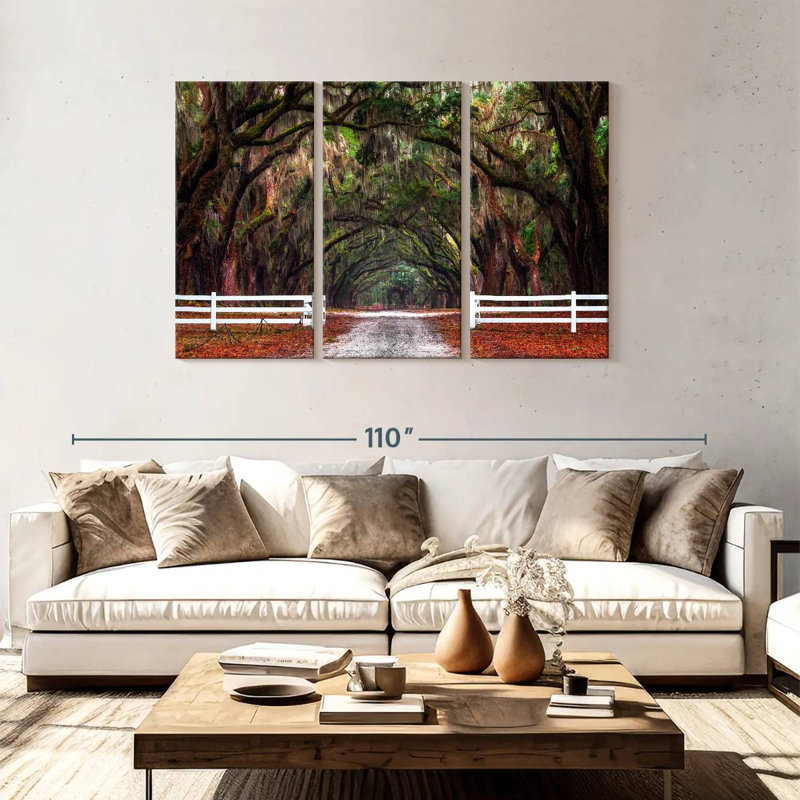 Arbres du site historique de Sebbie Wormsloe, H 48 po x l 74 po