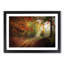 Autumn Forest - Framed Print-55456835-55456836