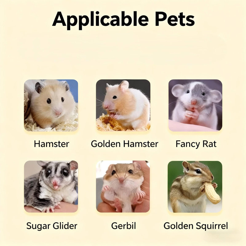 Small Animal