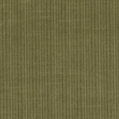 Velvet Encyclopedia IV Fabric