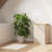 Fabric Laundry Hamper
