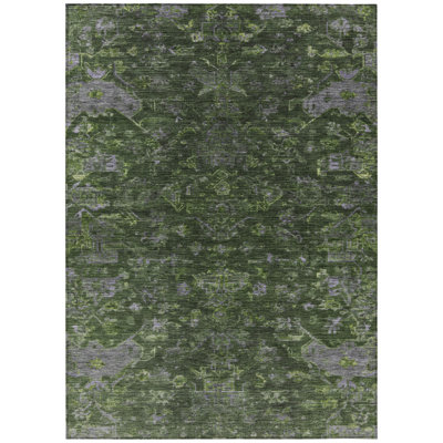 Machine Washable Indoor/Outdoor Chantille ACN2322 Global Rug