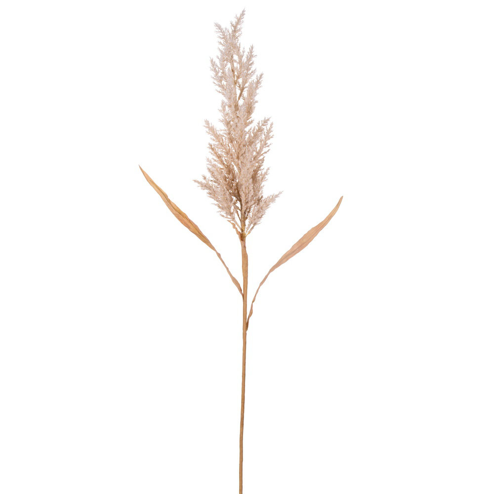 AllModern 36'' Faux Reed Plant | Wayfair