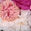 Panneau mural Floral Roses