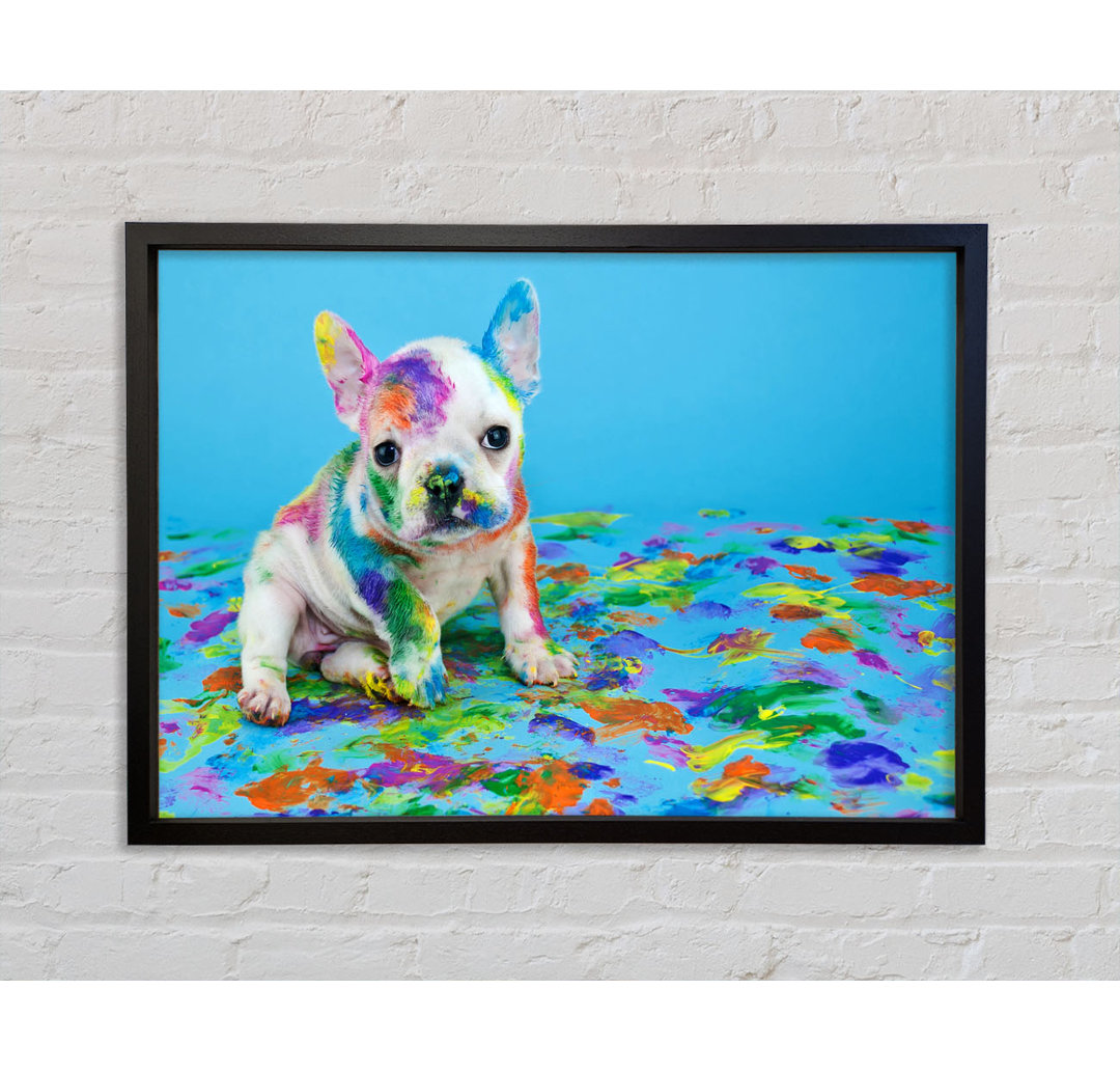 Französische Bulldogge Paint Party - Einzelner Bilderrahmen Kunstdrucke auf Leinwand