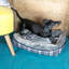Winford Polyester Pet Bed-350742081