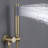 All-In-One Kit with Rough in-Valve