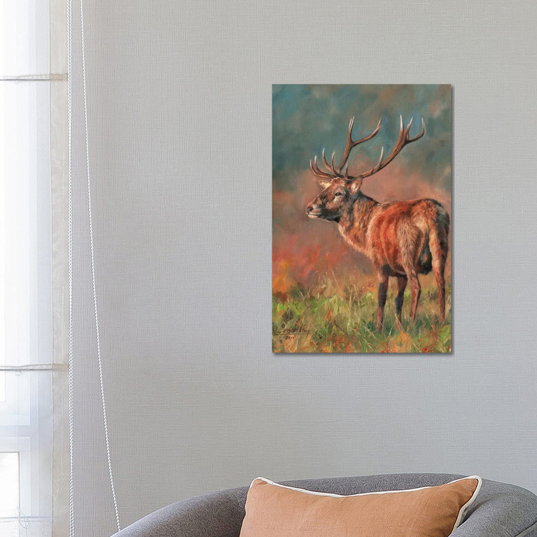 Red Deer Stag Evening Light von David Stribbling - Gallery-Wrapped Canvas GiclÃ©e on Canvas