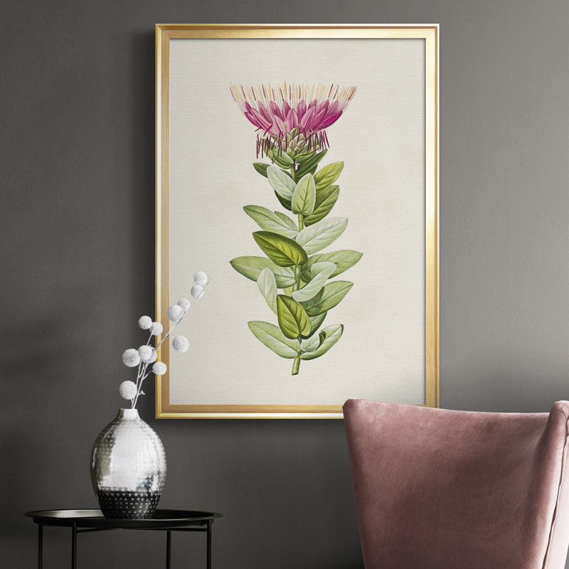 Jolie toile botanique de qualité supérieure rose prête à accrocher, Or, H 42,5 po x l 30,5 po x P 1 po