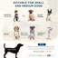 Lit confortable pour chien - plateforme surélevée grise avec compartiment de rangement dissimulé pour petits chiens moyens