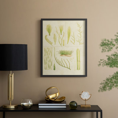«Vintage Sea Grass VI», reproduction encadrée - bois massif