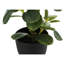 Plante artificielle-605892111