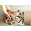 Ensemble de 2 housses de coussin Ambesonne Leopard-99019772-99019771