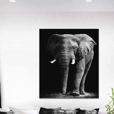 «African Elephant in Black Artwork», reproduction d'impression