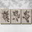 3 pièces Arbor-97758247-97758249