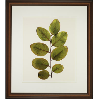A Little Piece Of Nature VI Print