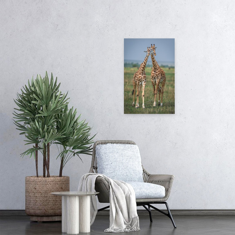 Nuzzling Giraffe Pair Peaceful Contemporary Giraffe Nature Wildlife Wall Art Print, 60.96cm H x 40.64cm W