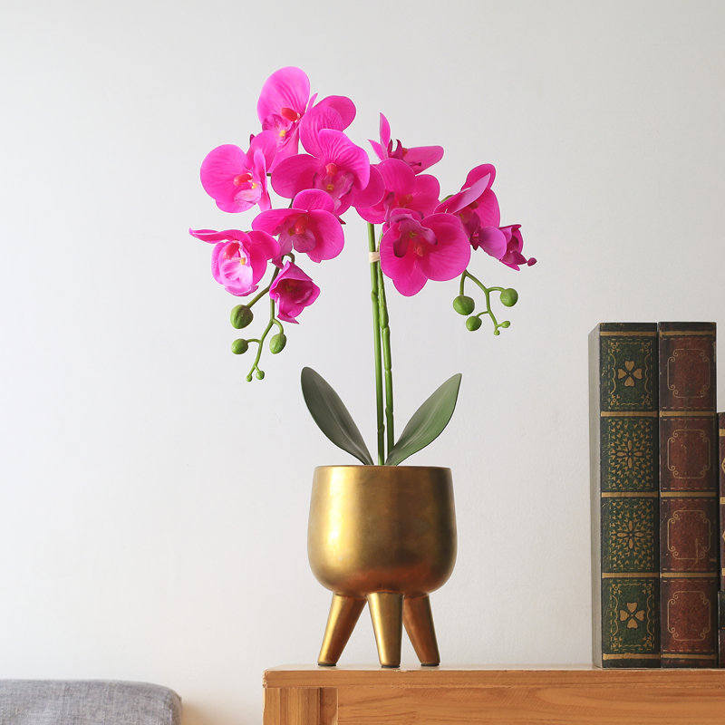 Pink Orchid in Copper Pot