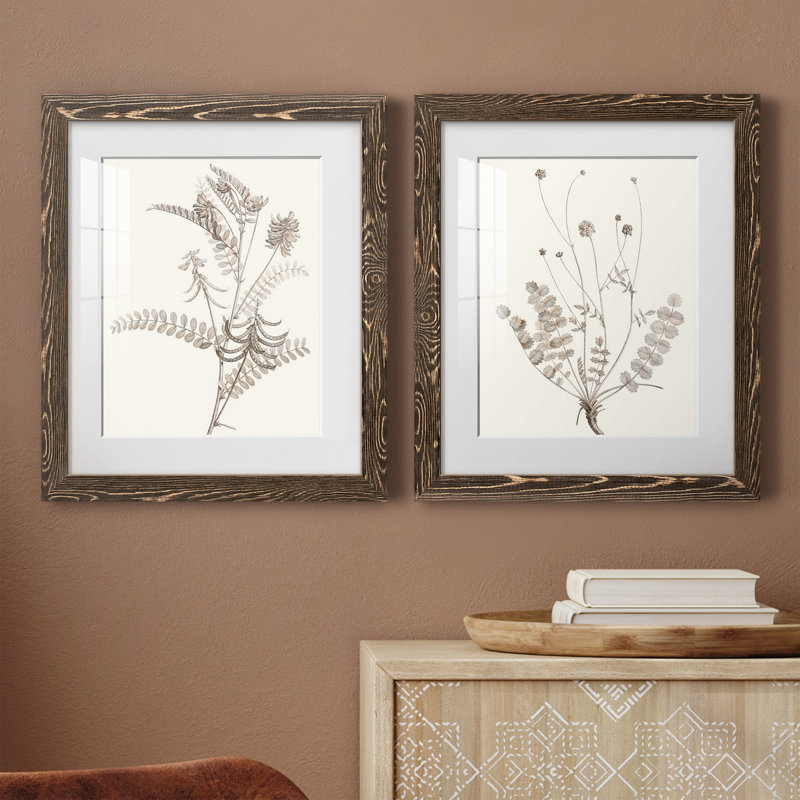 «Neutral Botanical Study VIIP», reproduction d'art encadrée - prête à être accrochée, H 24 po x l 36 po x P 1,5 po, Blanc