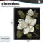 Cadre flottant Blooming Magnolia Buds, design par Nan-1483727944-1483727951