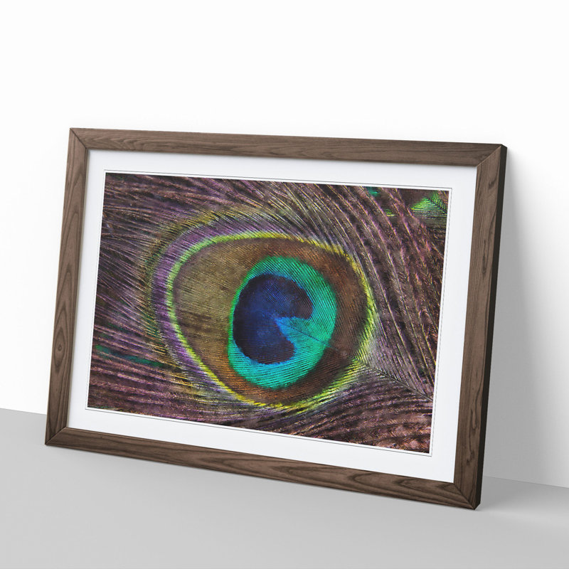 Peacock Feather - Picture Frame Graphic Art, 48cm H x 65cm W x 2cm D, Walnut Framed