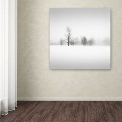 « winter fog » par dave macvicar, reproduction de photo sur toile tendue