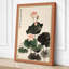 Lotus and Leaves Japandi - Wrapped Canvas-1989429040-1989429043